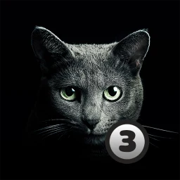 Найди кота 3 simgesi